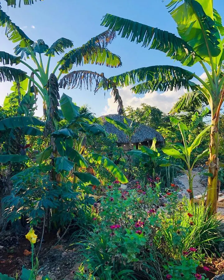 Guaiguei Bayahibe Villa